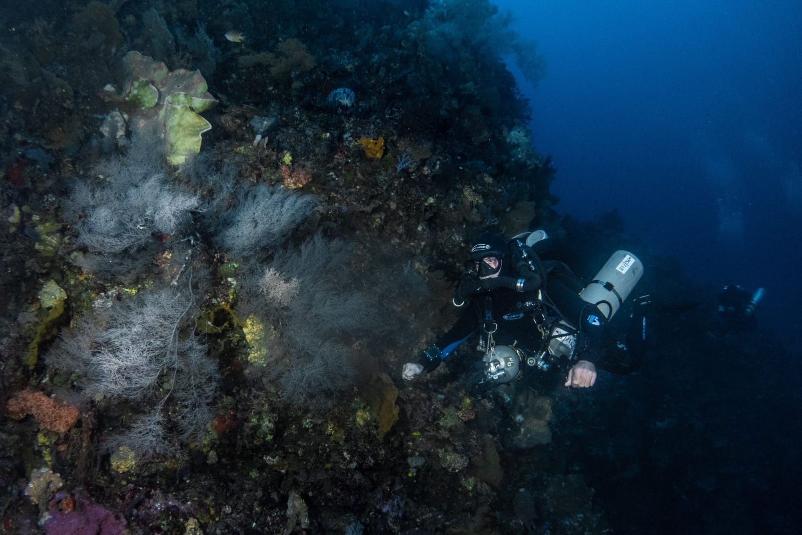Closed-circuit rebreather diver on a deep reef wall